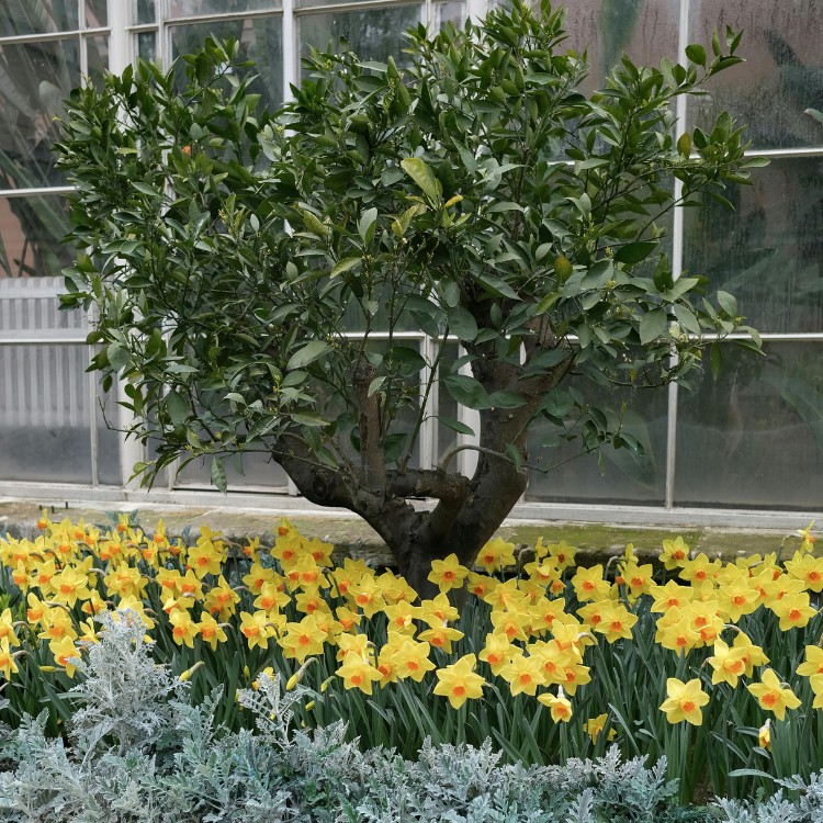 Tree care and landscaping in Fort Washington, MD