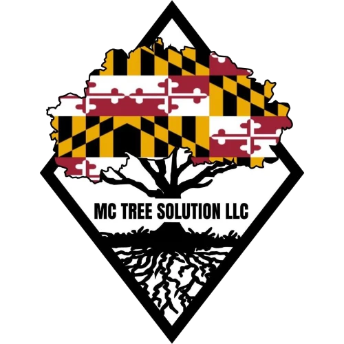 MC Tree Solutions